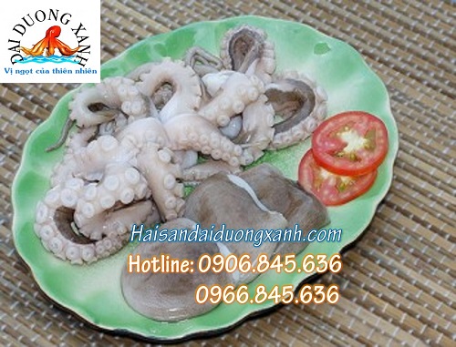 Bán bạch tuộc tươi biển Phan Thiết, nhiều size, ngọt thịt, đông lạnh, giao hàng miễn phí