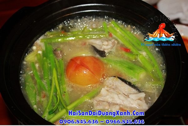 Cá đuối làm móm gì ngon? Cách chế biến cá đuối đơn giản, dễ làm tại nhà cduinum