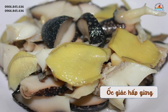 oc-giac-hap