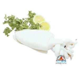 Mực Nang Làm Sạch 5-8 Con/kg