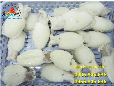 Mua Mực Nang Ở Đâu - Nơi Bán Mực Nang Chất Lượng, Giá Tốt chonaobanmucnang 1