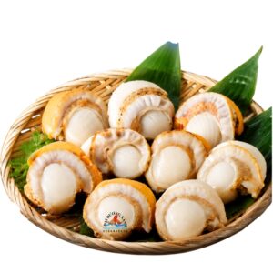Cồi Sò Điệp Hấp - túi 1kg