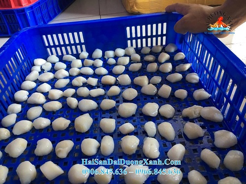Mua cồi sò điệp ở đâu. Cồi sò điệp giá bao nhiêu 1kg coi_so_diep