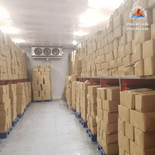 cung cấp mực nang bình dương, đồng nai