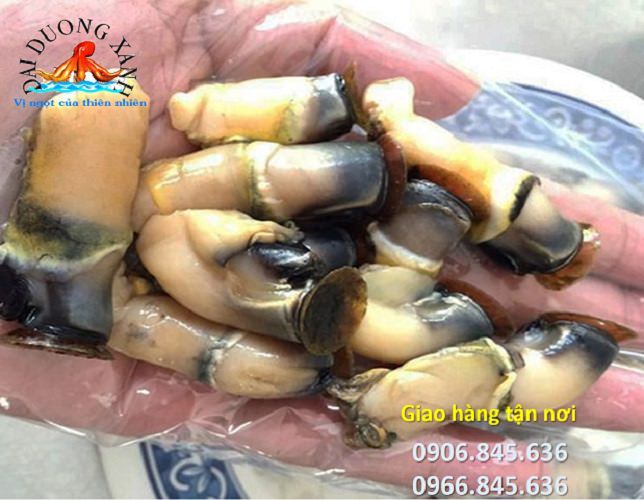 hàu điếu