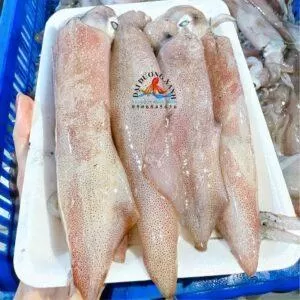 Mực Ống Mi Nơ Chất Lượng Cao