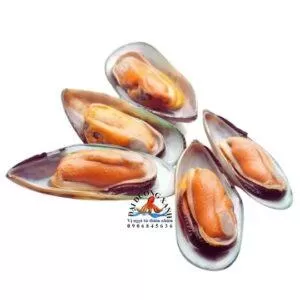 Vẹm Xanh New Zealand NK - Nửa Mảnh