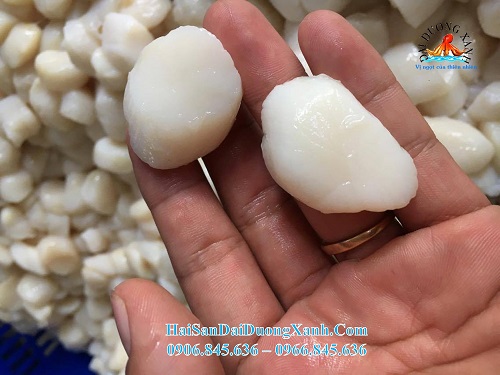Mua cồi sò điệp ở đâu. Cồi sò điệp giá bao nhiêu 1kg mua_coi_so_diep_o_dau