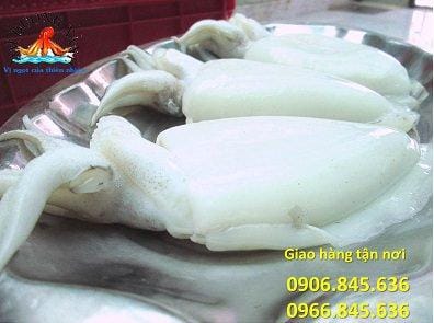 Mua Mực Nang Ở Đâu - Nơi Bán Mực Nang Chất Lượng, Giá Tốt muamucnangodau 1