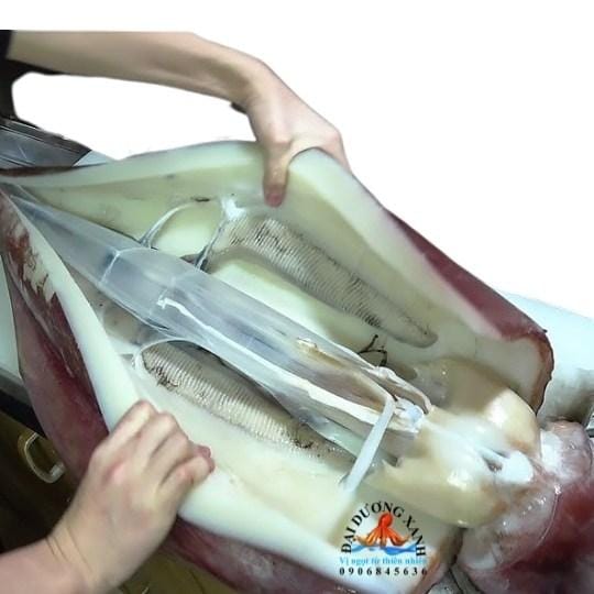 5 Loại Hải Sản Bình Thuận Không Thể Bỏ Lỡ muc nang khong lo hai san binh thuan