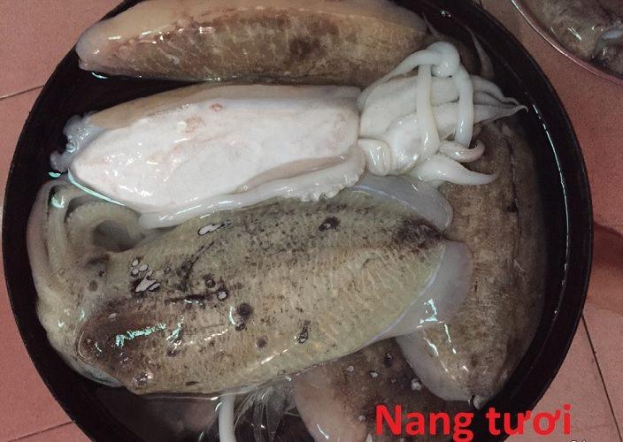 Nơi Bán Mực Nang Tươi Giá Tốt muc nang tuoi 1