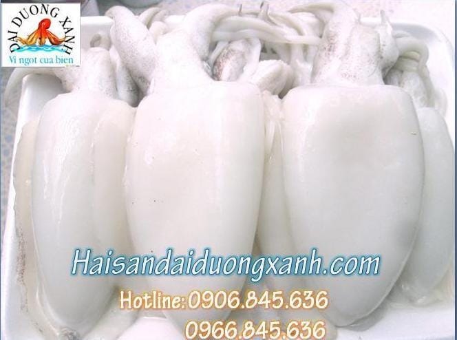 Nơi Bán Mực Nang Tươi Giá Tốt mucnangtuoi 1