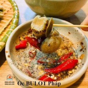 Ốc bulot làm món gì ngon? 3 cách chế biến ốc bulot ngon bổ dưỡng oc bulot phap 1