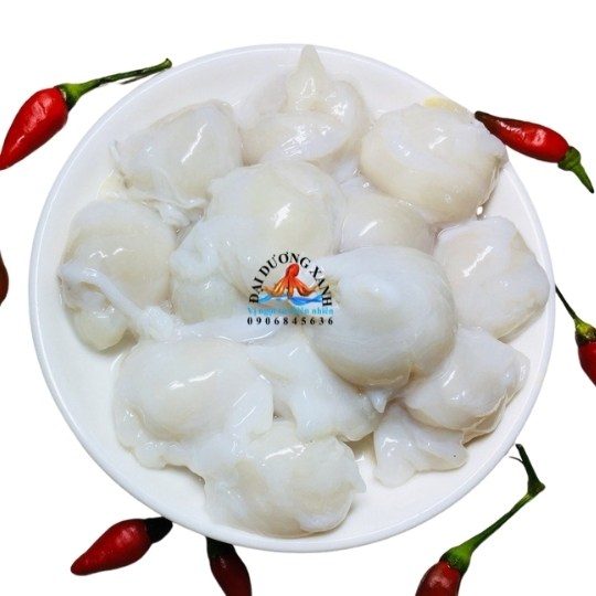 Răng Mực Đại - 1kg rang muc to