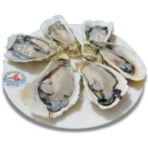 Hàu Tách Vỏ (Hàu nửa mảnh) 1kg hau tach nua manh