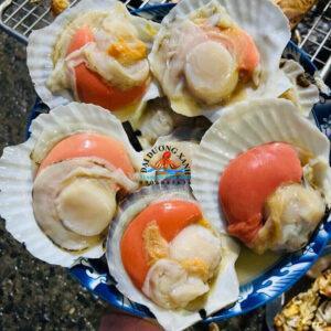 Sò Điệp Nhật Tách Vỏ 7-10 Mảnh/kg so diep nhat tach vo