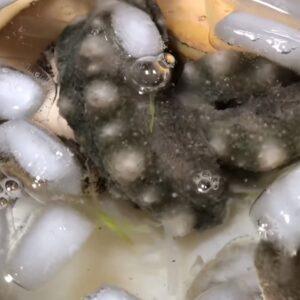 Chế Biến Súp Bào Ngư Vi Cá Hải Sâm Đúng Chuẩn Tiến Vua ngam-va-luoc-nguyen-lieu
