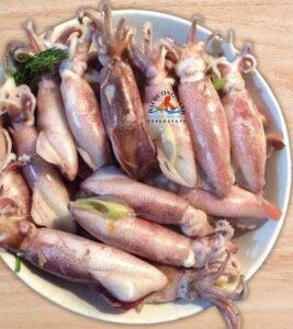 muc trung hap gung e1738657798828