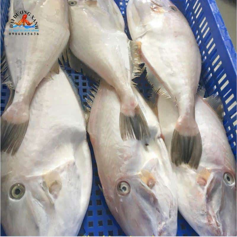 ca bo da lam gi ngon