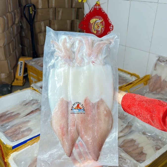 mua muc 1 nang o dau