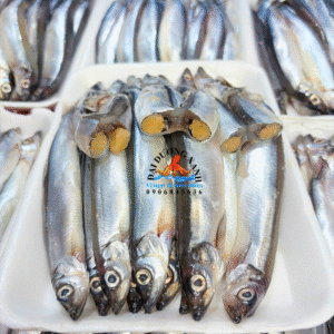 Cá trứng Na Uy
